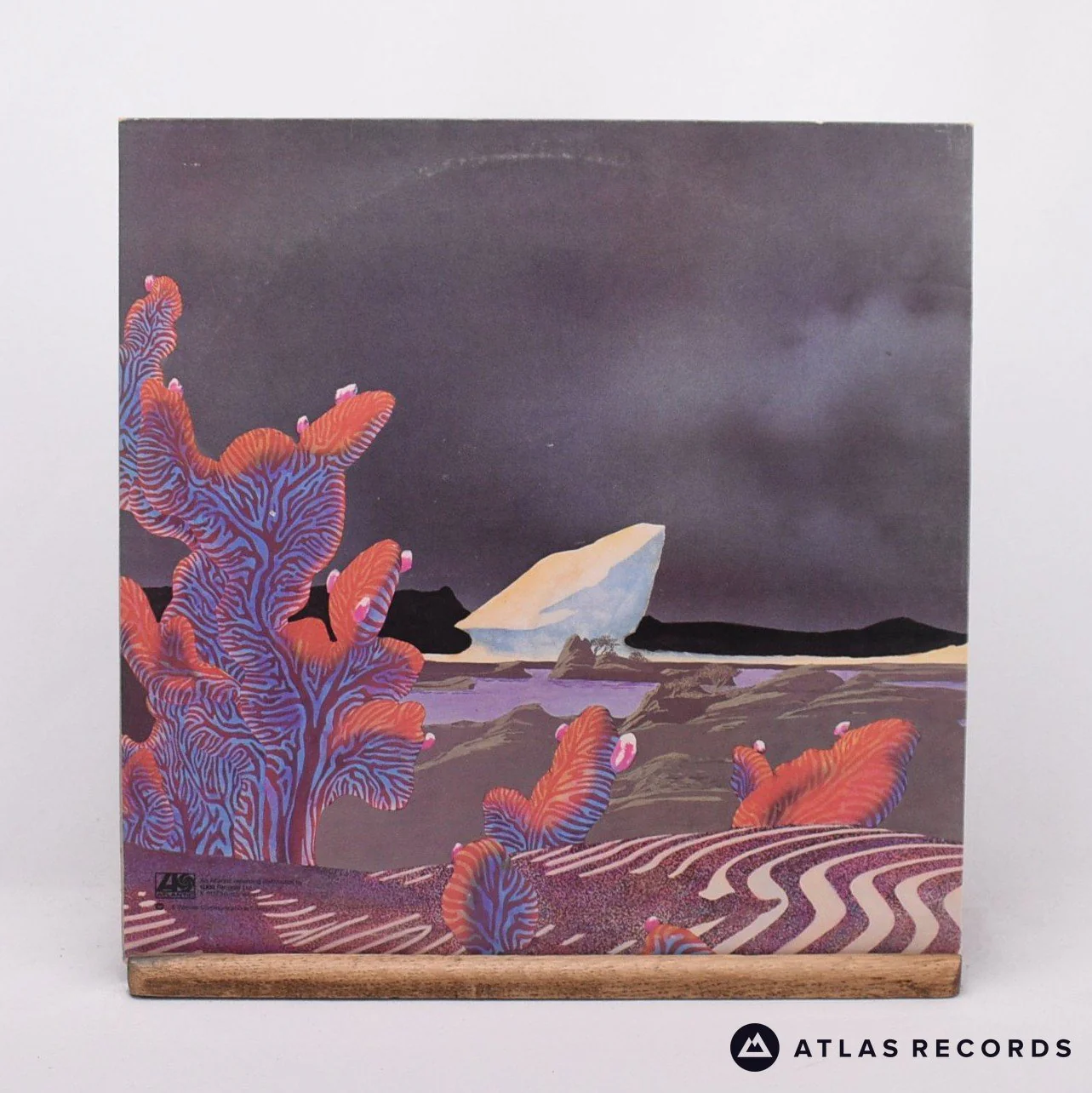 Thumbnail 3